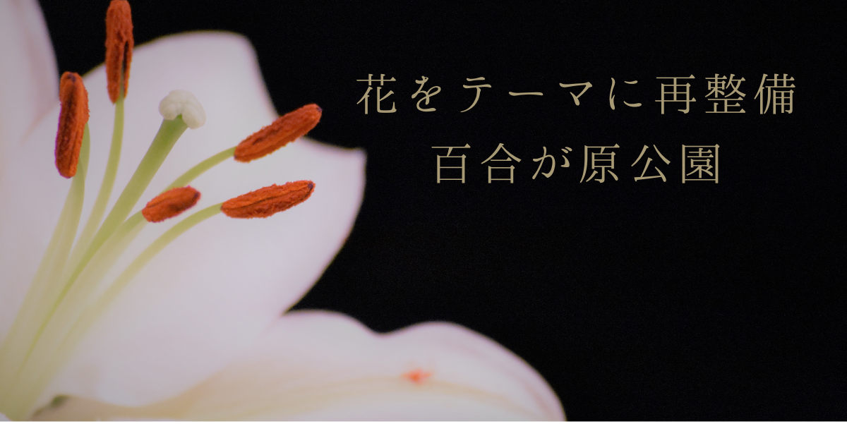 ・花をテーマに再整備される百合が原公園